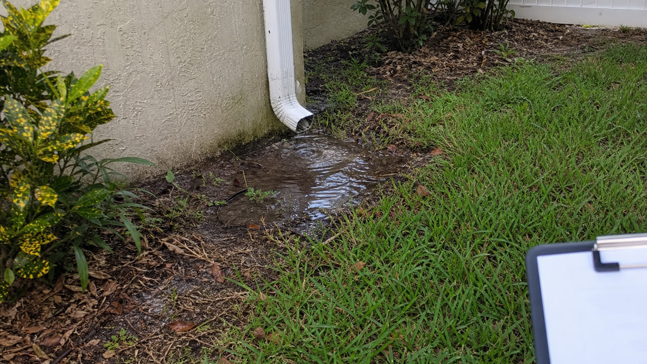 Brevard County Standing Water Mosquito Inspection near Brevard County
